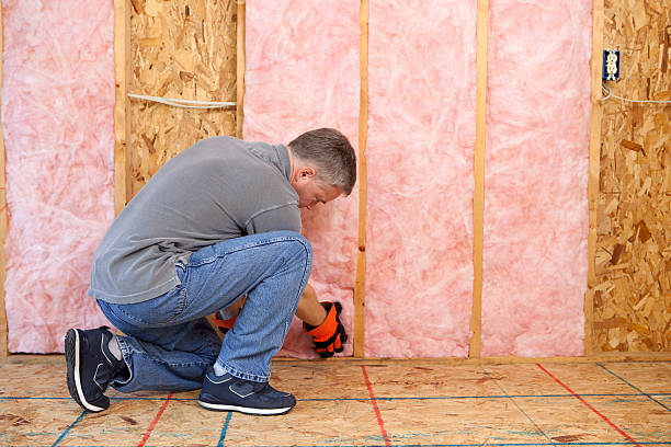 Best DIY Insulation Kits and Guidance in Blacksburg, VA