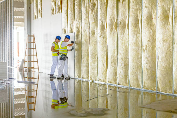Trusted Blacksburg, VA Insulation Contractor Experts